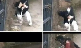 网友爆料金碧学校视频,揭秘校园真实情况