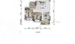 娱乐爆料细节分析怎么写,独家爆料背后的真相与内幕